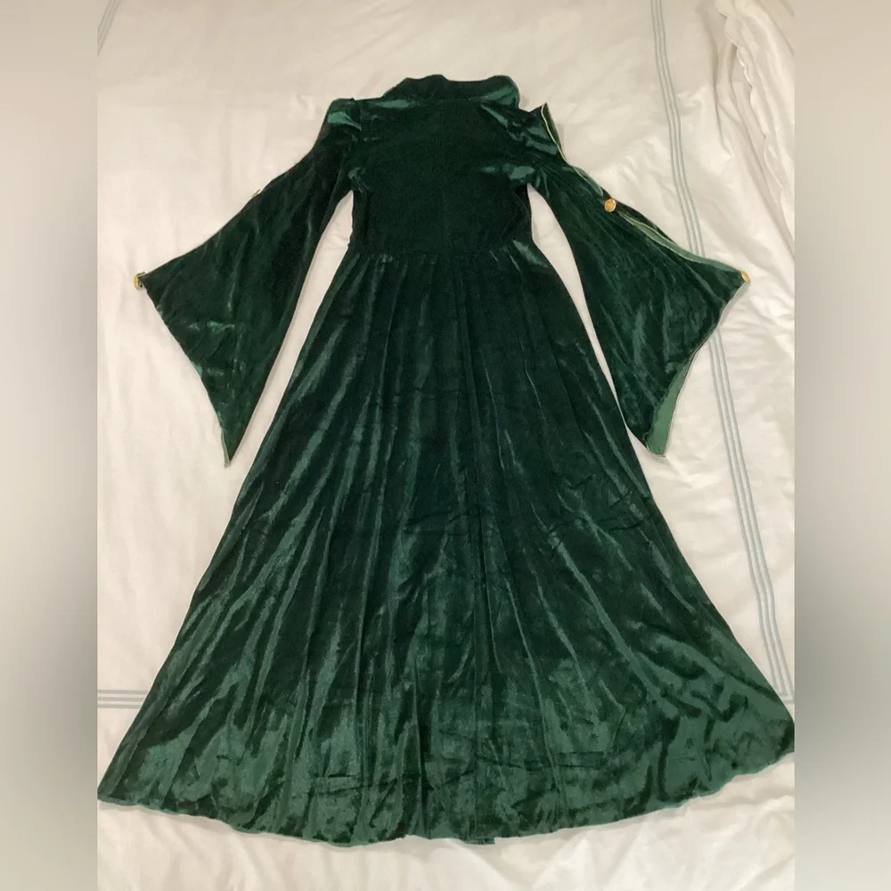 Hocus locus Disney costume